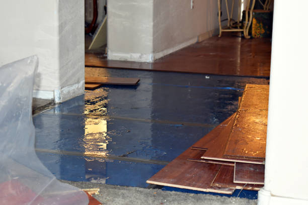 Professional Sewage Cleanup technician working in New London, OH